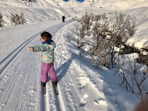 Opal--Skier extraordinaire!  It felt like spring skiing that day.