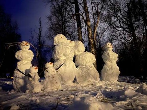 Our snow family greeting the new year and new decade!