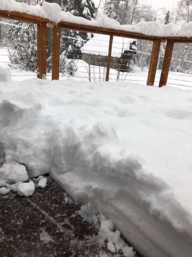 It doesn't look like that much, but this is over a foot of heavy, wet snow!