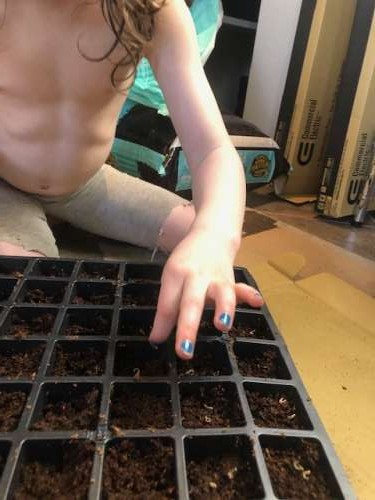 Opal and Ava are great helpers.  They wholly understand to only put two seeds per hole--even the tiny seeds! They are probably more diligent than I am :).  Shirts are also optional during isolation.