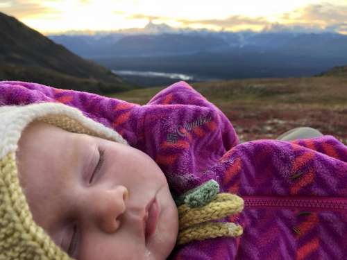 Tired baby on her first backpacking trip.  That's Denali in the background.