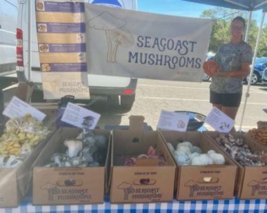 My favorite vendor is Seacoast Mushrooms…worth the 45 minute drive I take to get to the market.