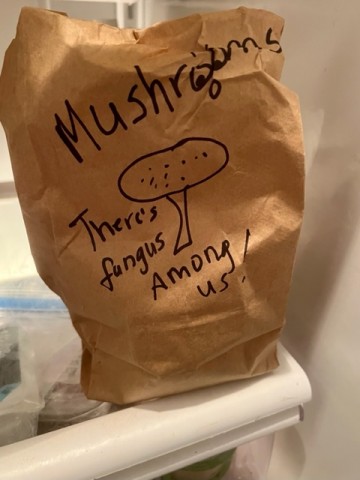 If I am not cooking fresh mushrooms right away, I store them in a paper bag in the fridge. 