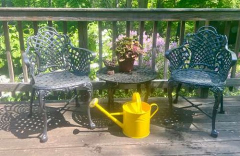 I’ve been looking for awhile for a new, good watering can. I found this wonderful Martha Stewart Living metal can at Homegoods for under $30. It makes a hard chore so much easier!