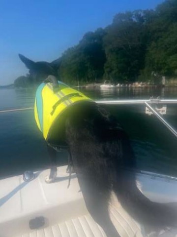 My friend’s dog loves going on the lake!