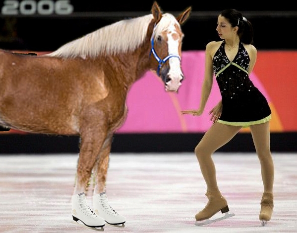 skating%20horse.jpg